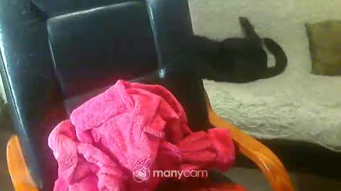 jessjess4you online show from February 2, 2025, 6:04 am