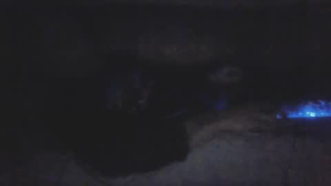 jetjon762844 online show from February 9, 2026, 10:41 am