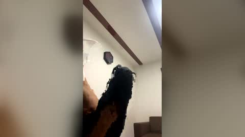 jhannpi online show from April 8, 2026, 7:30 am