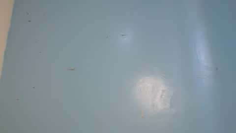 Snapshot of jia_lisah chatting on February 14, 2026, 9:17 am jia lisa online show from February 14, 2026, 9:17 am