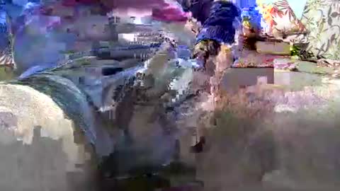 jimii281 online show from January 12, 2026, 9:53 pm