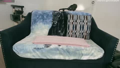 Snapshot of jjjust4fun1985 chatting on January 1, 2025, 10:24 pm Nicole Allen online show from January 1, 2025, 10:24 pm