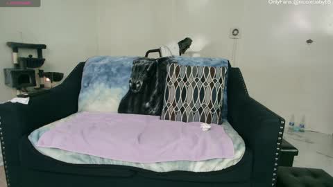 Snapshot of jjjust4fun1985 chatting on January 7, 2025, 11:56 pm Nicole Allen online show from January 7, 2025, 11:56 pm