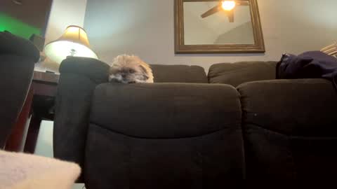 Jimmy online show from January 21, 2025, 11:02 pm