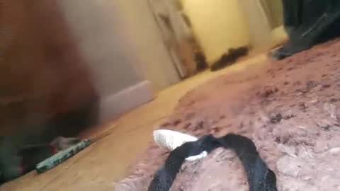 Jimmy online show from February 23, 2025, 1:57 am