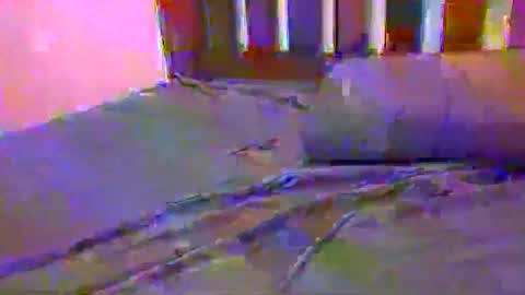 Snapshot of jlrf90 chatting on February 17, 2025, 10:29 am tip me online show from February 17, 2025, 10:29 am