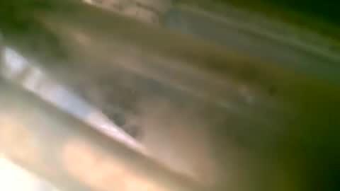 jlz2695 online show from March 6, 2026, 8:27 pm