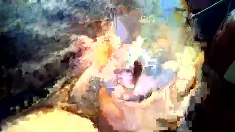 joedunbar61 online show from September 17, 2025, 12:12 am