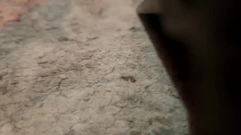 joemancini643 online show from September 21, 2025, 2:13 am