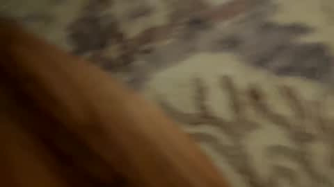 Snapshot of johnny235813 chatting on September 18, 2025, 3:52 am johnny235813 online show from September 18, 2025, 3:52 am