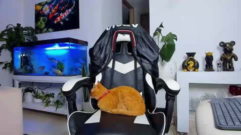 JOHNNY online show from September 19, 2025, 12:23 am