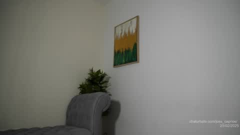 Joss  online show from February 25, 2025, 3:16 pm