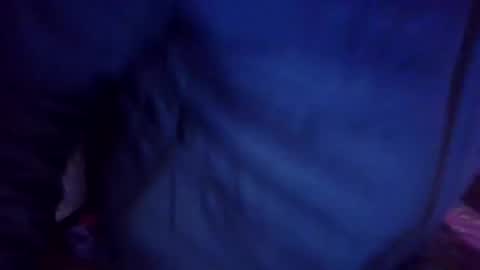 joybook8 online show from February 1, 2025, 10:37 am