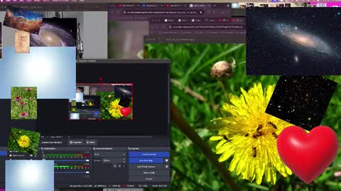 JP Sunflower Angel Love online show from October 13, 2025, 9:09 am