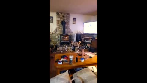 jsteger1465 online show from February 24, 2026, 10:35 am