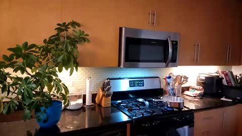 Snapshot of jtrnbll chatting on October 30, 2025, 9:04 pm ... online show from October 30, 2025, 9:04 pm