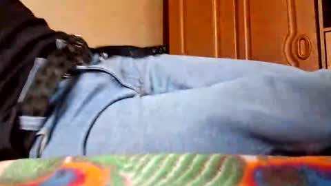 juan488826 online show from March 23, 2026, 6:01 pm