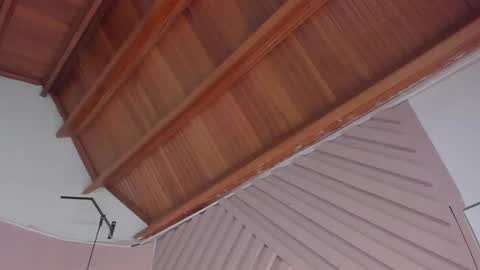 Juana online show from April 10, 2026, 11:15 am