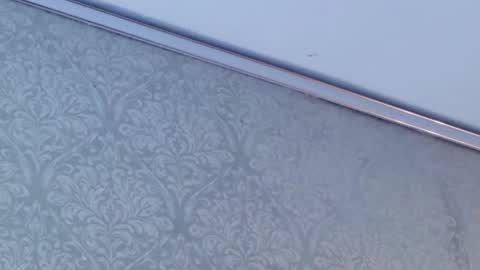 juanita online show from February 12, 2026, 5:52 pm