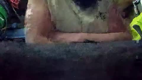 juicyweiner online show from October 28, 2025, 8:51 am