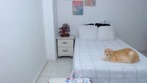 julia online show from December 30, 2024, 7:11 pm