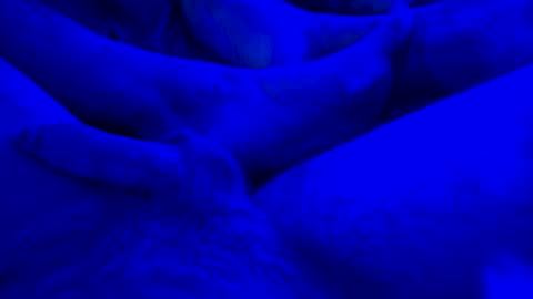 Yuri online show from January 14, 2025, 7:59 am