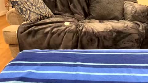 Snapshot of just_ur_avg_cpl chatting on February 17, 2025, 12:32 am justuravgdad  justuravgmom online show from February 17, 2025, 12:32 am