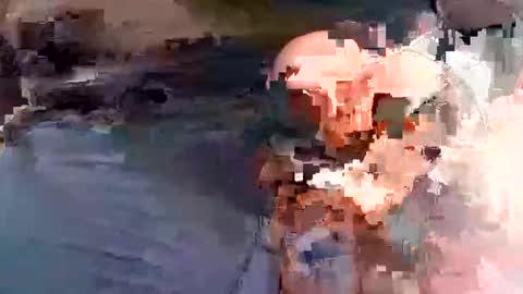 jxj20231 online show from May 23, 2026, 9:41 pm