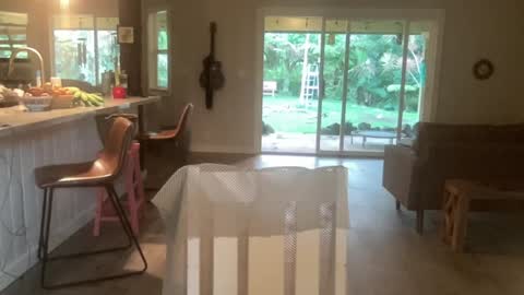 Kailee Smile online show from October 1, 2025, 3:56 am