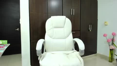 Snapshot of kariitto___ds chatting on January 20, 2025, 2:53 am kariitto___ds online show from January 20, 2025, 2:53 am