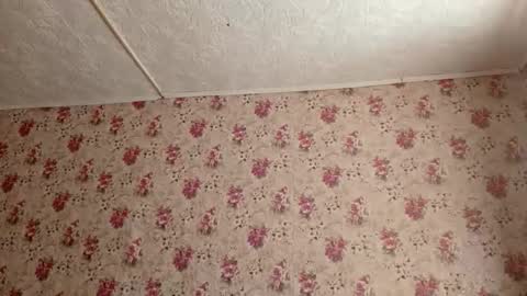 Snapshot of karoncabeza chatting on February 27, 2026, 7:19 am Sara online show from February 27, 2026, 7:19 am