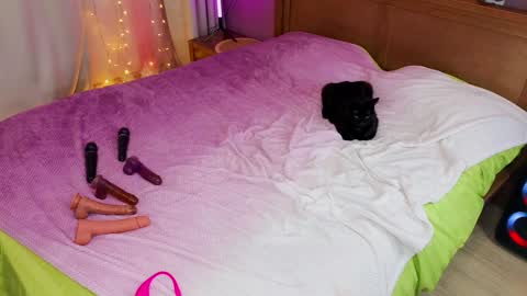 Kate  Sex-House  MILA WAYGMT2 MonTue  0300am-1500am online show from December 5, 2024, 12:22 pm