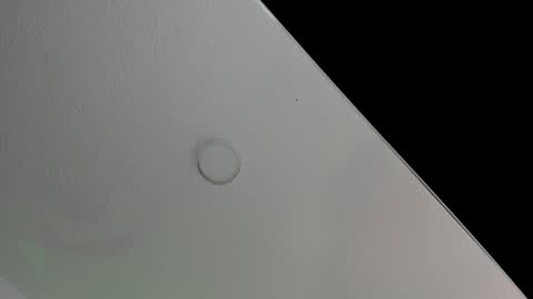 love meeee online show from February 8, 2025, 2:27 pm