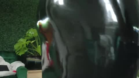 Snapshot of katieericson13 chatting on January 19, 2025, 5:49 pm Kate online show from January 19, 2025, 5:49 pm