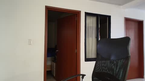 Kauri Lop online show from December 13, 2024, 8:04 pm