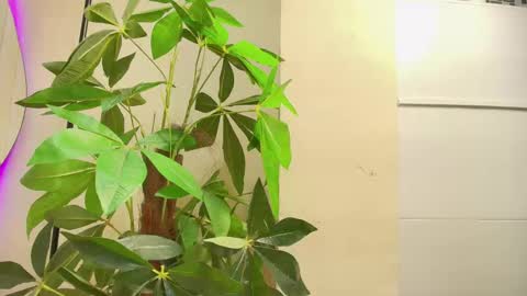 Snapshot of keila_hott20 chatting on October 1, 2025, 12:00 pm keila online show from October 1, 2025, 12:00 pm