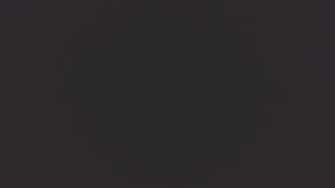 keiser1771 online show from February 21, 2026, 10:27 am