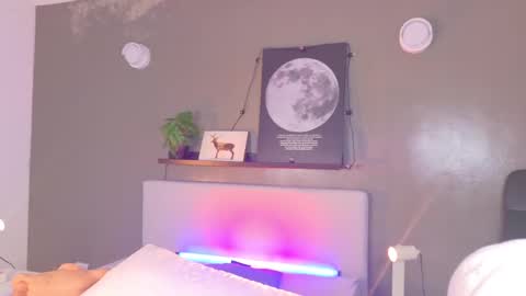   online show from November 4, 2025, 11:31 am