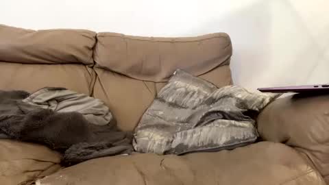 kevfromchat online show from January 8, 2025, 1:31 pm