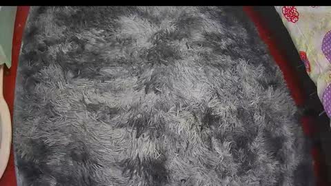 Keyla online show from February 20, 2026, 6:26 am