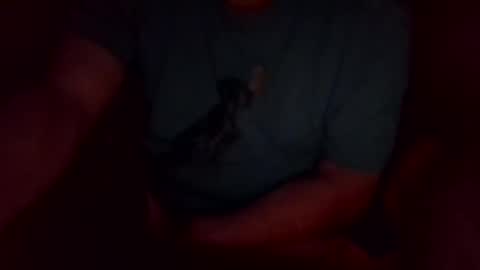 jesse444 cum show online show from September 20, 2025, 10:49 am