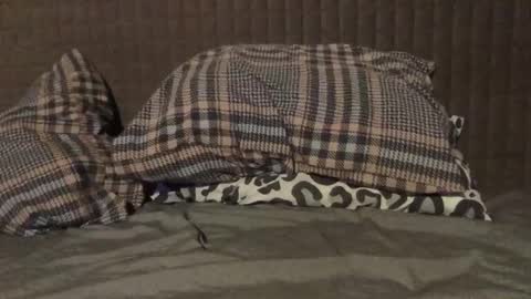 kiki3526 online show from November 23, 2025, 7:35 pm