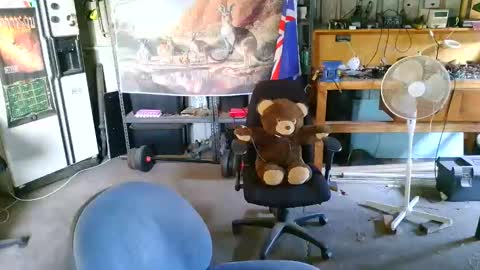 kimintheshed online show from February 21, 2026, 10:16 am