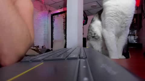 Melany online show from February 1, 2025, 12:51 am