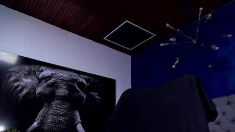 Angel Falconer online show from January 18, 2026, 4:05 am