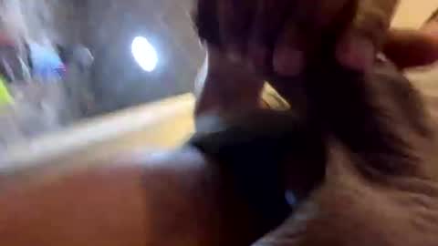 Snapshot of kingshyster chatting on July 20, 2026, 3:14 pm kingshyster online show from July 20, 2026, 3:14 pm