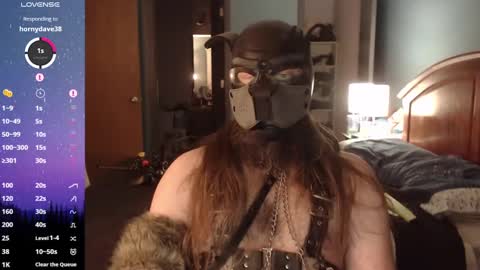 kinkywolf87 online show from December 31, 2024, 11:17 pm