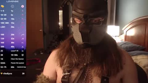 kinkywolf87 online show from March 6, 2025, 8:41 am