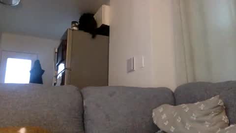 Snapshot of kinnkybwc chatting on March 29, 2026, 11:16 pm kinnkybwc online show from March 29, 2026, 11:16 pm