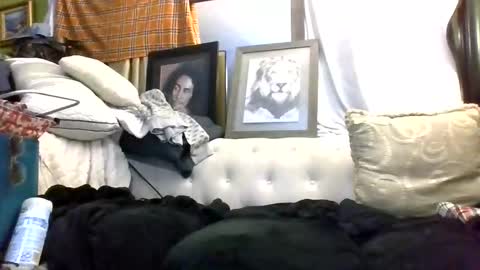 Kishan2525 online show from March 7, 2026, 9:06 am